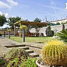 Giardino e vista sul pergolato